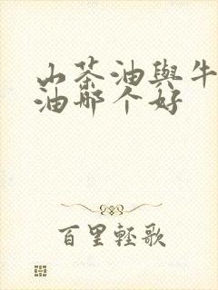 山茶油与牛油果油哪个好