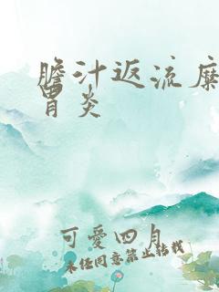 胆汁返流糜烂性胃炎