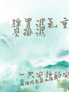 脾胃湿气重该怎么排湿