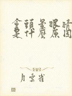 会头晕眼睛模糊是什么原因