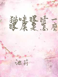 猫咪眼睛一直有眼屎是怎么回事