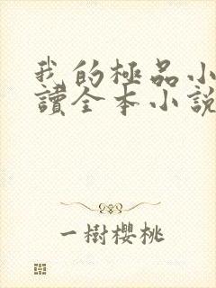 我的极品小姨阅读全本小说