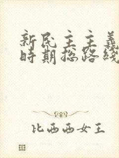 新民主主义革命时期总路线