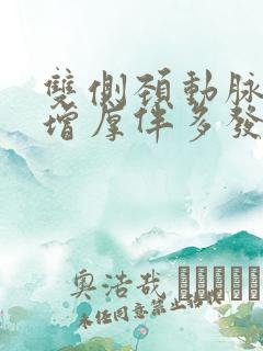 双侧颈动脉内膜增厚伴多发斑块形成