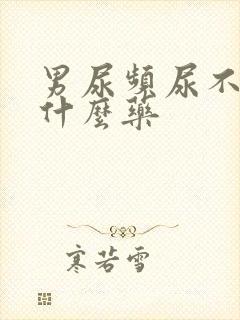 男尿频尿不净吃什么药