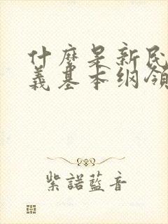 什么是新民主主义基本纲领的主要内容