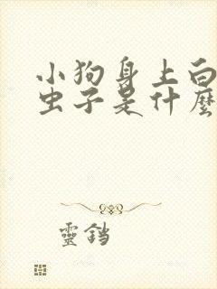 小狗身上白色的虫子是什么