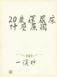 20岁还尿床是什么原因