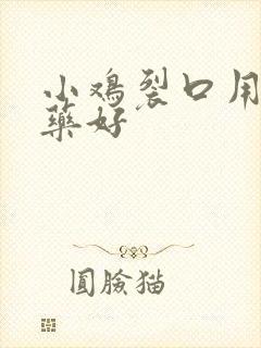 小鸡裂口用什么药好