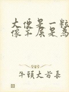 大便是一粒一粒像羊屎是为什么