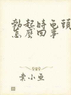 勃起时龟头疼是怎么回事