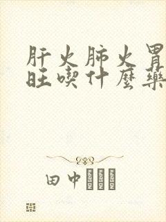 肝火肺火胃火都旺吃什么药