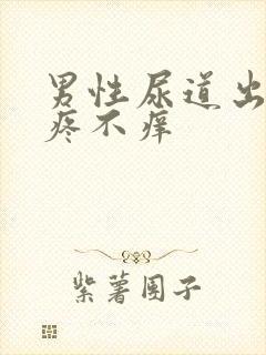 男性尿道出血不疼不痒