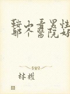 鞍山看男性疾病那个医院好