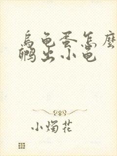 乌龟蛋怎么可以孵出小龟