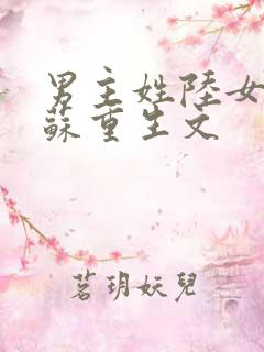 男主姓陆女主姓苏重生文