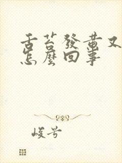 舌苔发黄又发白怎么回事