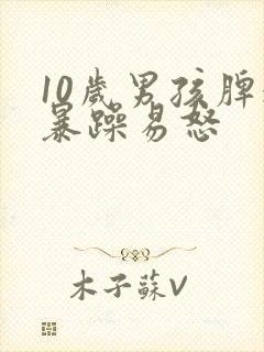 10岁男孩脾气暴躁易怒