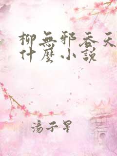 柳无邪吞天神鼎什么小说