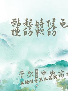 勃起时候龟头是硬的软的