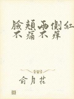 脸颊两侧红点点不痛不痒