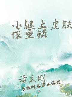 小腿上皮肤干燥像鱼鳞