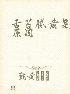 舌苔腻黄是什么原因