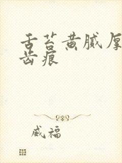 舌苔黄腻厚白有齿痕