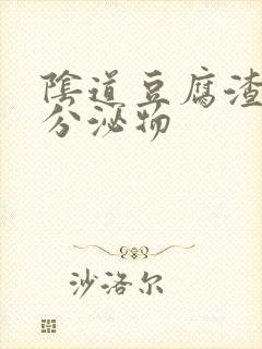 阴道豆腐渣阴道分泌物