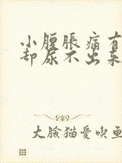 小腹胀痛有尿意却尿不出来