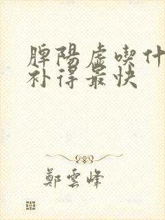 脾阳虚吃什么药补得最快