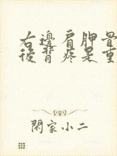 右边肩胛骨下方后背疼是重病信号