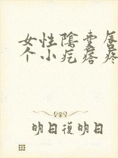 女性阴囊唇长了个小疙瘩疼