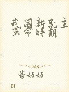 我国新民主主义革命时期