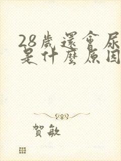 28岁还会尿床是什么原因