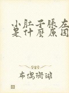 小肚子胀左边疼是什么原因