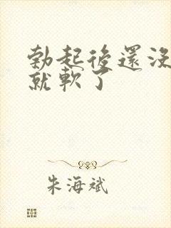 勃起后还没插入就软了