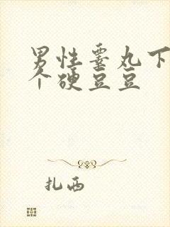 男性睾丸下边长个硬豆豆