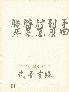 胳膊肘到手腕都疼是怎么回事