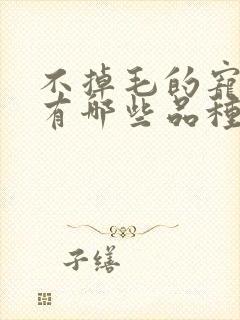 不掉毛的宠物猫有哪些品种