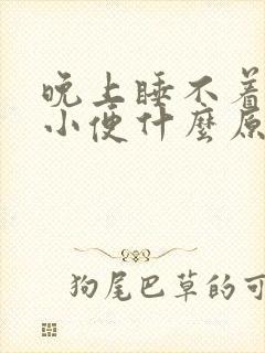 晚上睡不着老想小便什么原因引起的