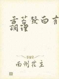 舌苔发白有齿痕调理