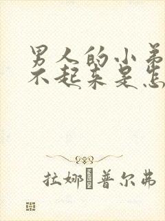 男人的小弟弟硬不起来是怎么回事