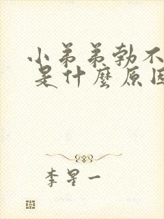 小弟弟勃不起来 是什么原因