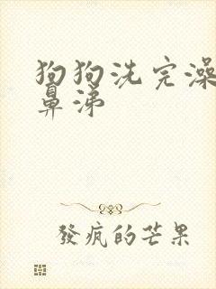 狗狗洗完澡流清鼻涕