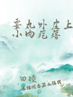 睾丸外皮上有个小肉疙瘩