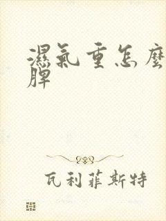 湿气重怎么调理脾