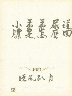 小弟弟尿道口流脓是怎么回事