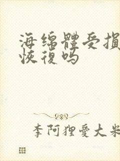 海绵体受损能够恢复吗