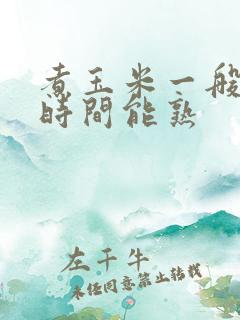 煮玉米一般多长时间能熟